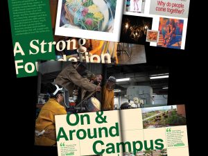 Spreads from the undergraduate viewbook