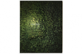 curious publication cover