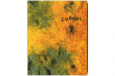 Curious publication cover