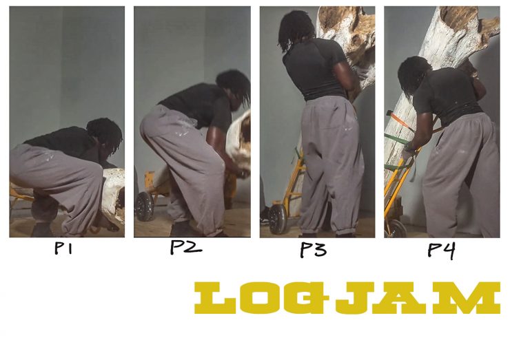 Poster for LogJam