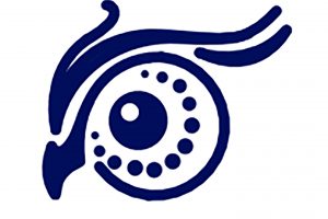 A navy blue logo of the profile of an owl's head