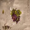 purple grapes on a light background