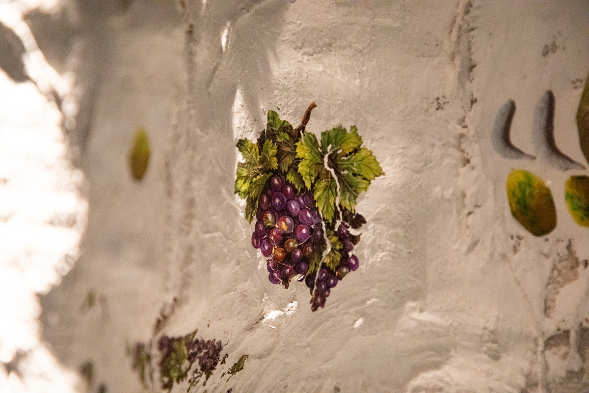 purple grapes on a light background